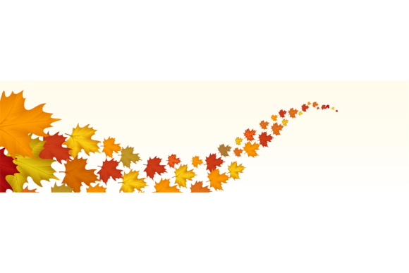Autumn Maple Backgrounds for Seasonal Brand Graphics